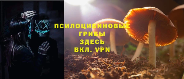 альфа пвп Медногорск