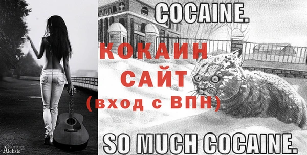 индика Бердск
