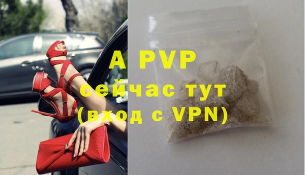 индика Бердск
