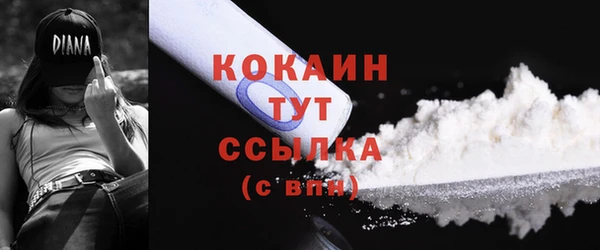 прущие грибы Медвежьегорск