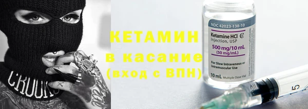 прущие грибы Медвежьегорск