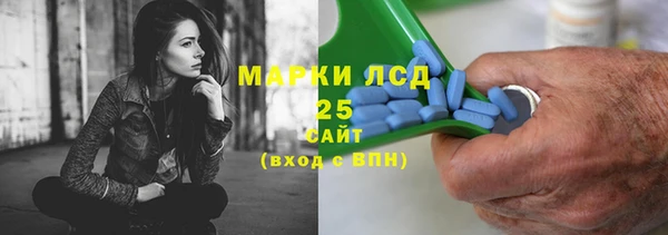 индика Бердск