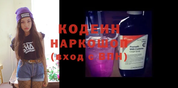 прущие грибы Медвежьегорск