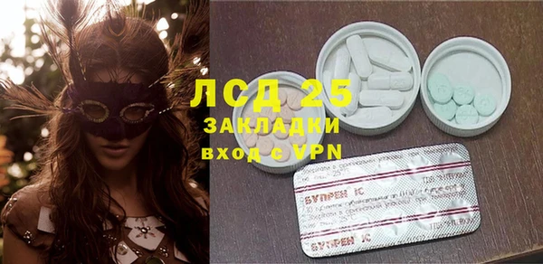 прущие грибы Медвежьегорск