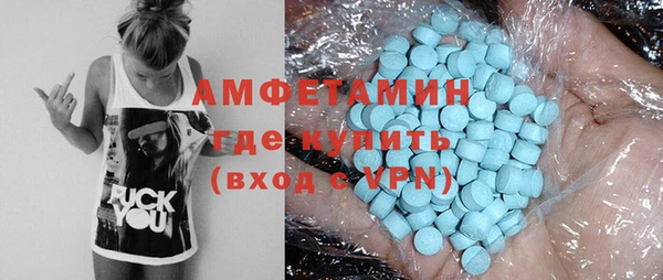 прущие грибы Медвежьегорск