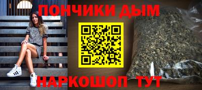сатива Гатчина