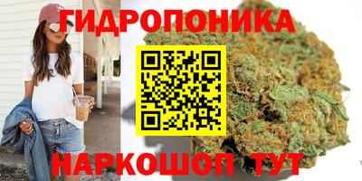 2c-b Гагарин
