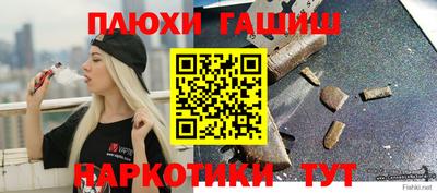 сатива Гатчина